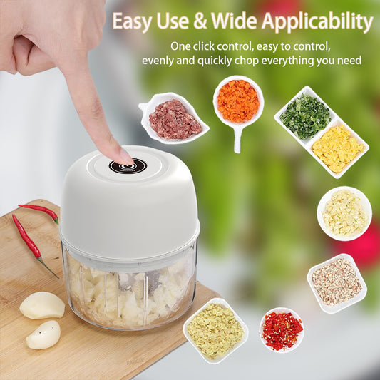 Mini Picadora Eléctrica Recargable 300Ml